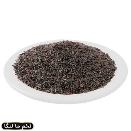Premium Tukhm Malanga (Basil Seeds) | پریمیم تخم ملنگا – 100% Natural | Direct from Factory | GM Foods Pakistan